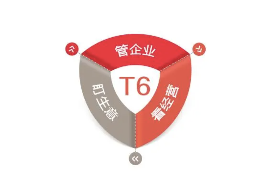 企業(yè)管理軟件